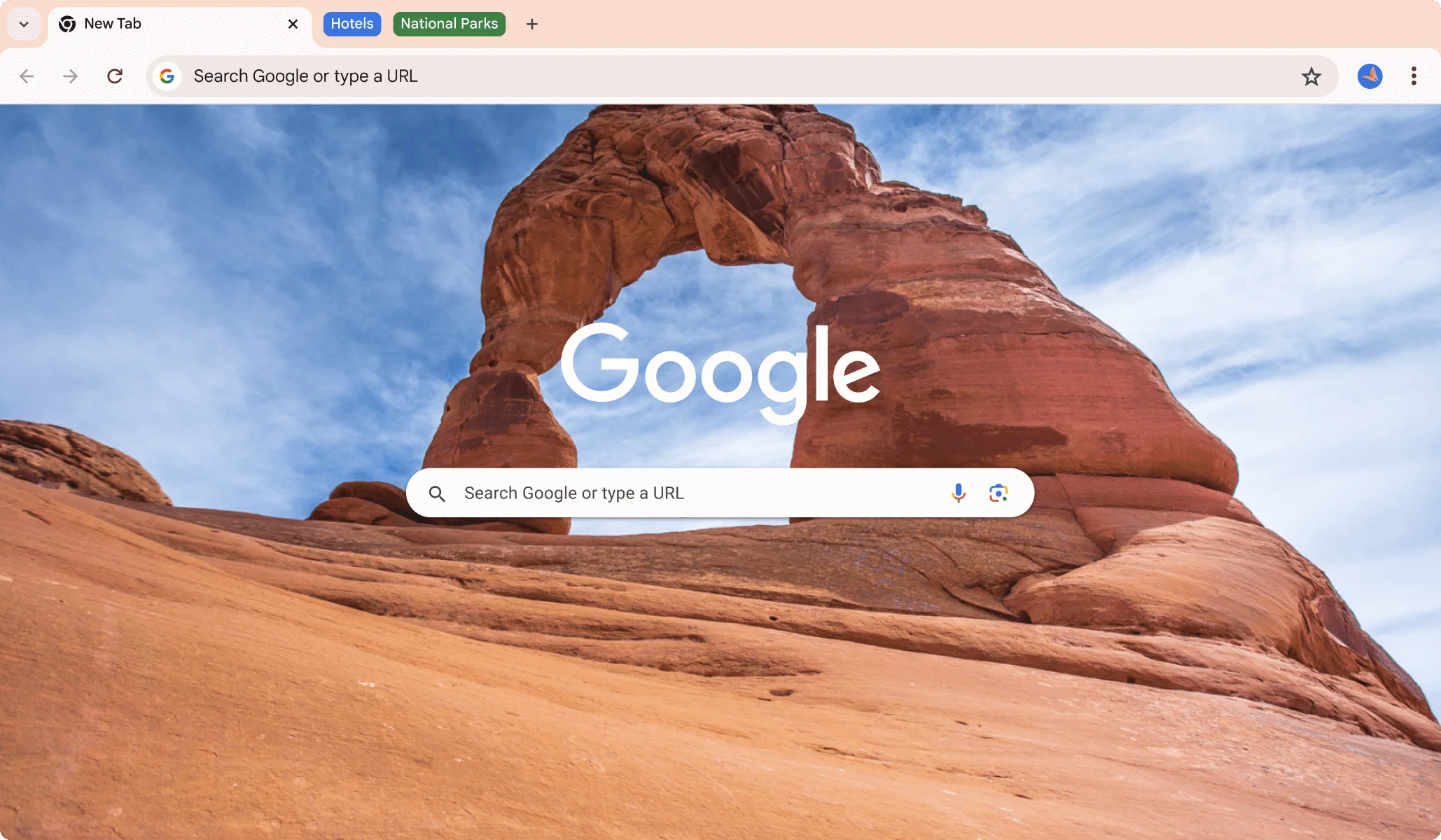 Google Chrome Windows İndir - ekran görüntüsü